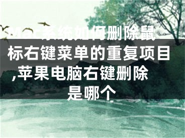 Mac系統(tǒng)如何刪除鼠標(biāo)右鍵菜單的重復(fù)項(xiàng)目 ,蘋果電腦右鍵刪除是哪個(gè)