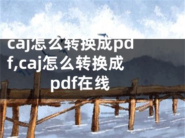 caj怎么轉(zhuǎn)換成pdf,caj怎么轉(zhuǎn)換成pdf在線