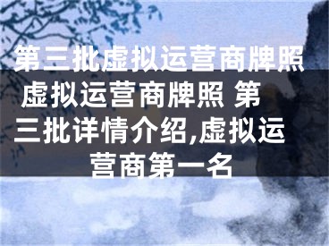 第三批虛擬運營商牌照 虛擬運營商牌照 第三批詳情介紹,虛擬運營商第一名