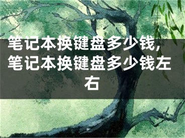 筆記本換鍵盤多少錢,筆記本換鍵盤多少錢左右