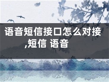 語音短信接口怎么對(duì)接,短信 語音