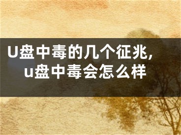 U盤中毒的幾個(gè)征兆,u盤中毒會(huì)怎么樣