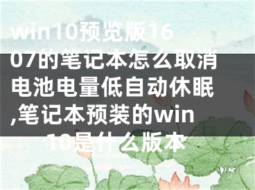 win10預(yù)覽版1607的筆記本怎么取消電池電量低自動(dòng)休眠 ,筆記本預(yù)裝的win10是什么版本