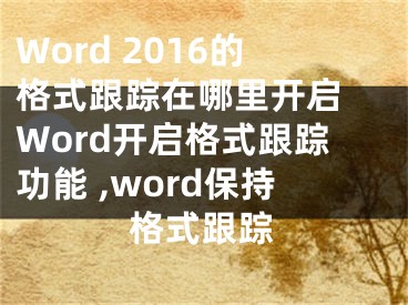 Word 2016的格式跟蹤在哪里開啟 Word開啟格式跟蹤功能 ,word保持格式跟蹤