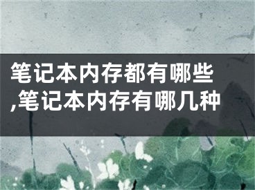 筆記本內(nèi)存都有哪些 ,筆記本內(nèi)存有哪幾種