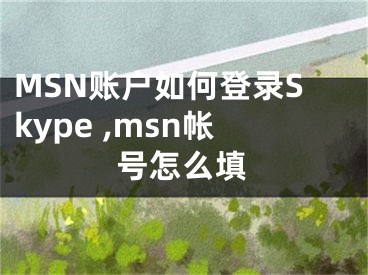 MSN賬戶如何登錄Skype ,msn帳號怎么填