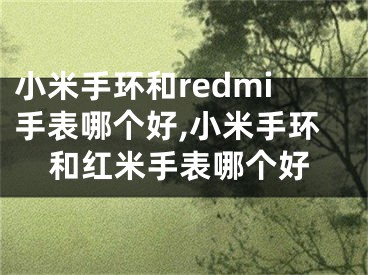 小米手環(huán)和redmi手表哪個(gè)好,小米手環(huán)和紅米手表哪個(gè)好