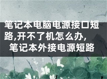 筆記本電腦電源接口短路,開不了機怎么辦,筆記本外接電源短路