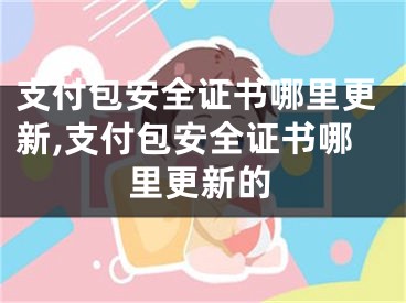 支付包安全證書哪里更新,支付包安全證書哪里更新的