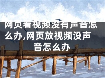 網(wǎng)頁看視頻沒有聲音怎么辦,網(wǎng)頁放視頻沒聲音怎么辦