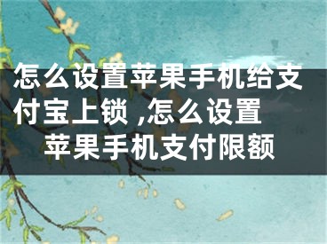 怎么設(shè)置蘋果手機(jī)給支付寶上鎖 ,怎么設(shè)置蘋果手機(jī)支付限額