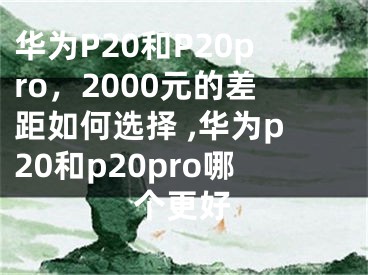 華為P20和P20pro，2000元的差距如何選擇 ,華為p20和p20pro哪個更好