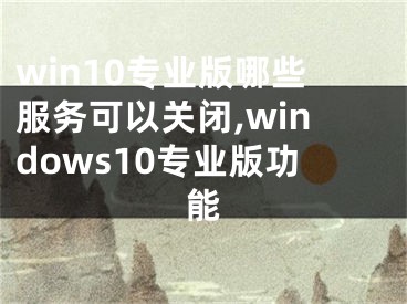 win10專(zhuān)業(yè)版哪些服務(wù)可以關(guān)閉,windows10專(zhuān)業(yè)版功能