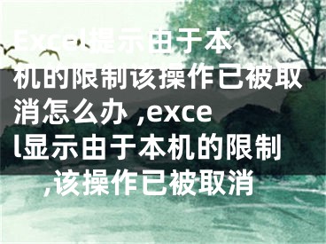 Excel提示由于本機(jī)的限制該操作已被取消怎么辦 ,excel顯示由于本機(jī)的限制,該操作已被取消