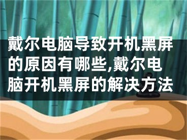 戴爾電腦導(dǎo)致開機黑屏的原因有哪些,戴爾電腦開機黑屏的解決方法