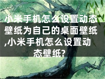 小米手機(jī)怎么設(shè)置動(dòng)態(tài)壁紙為自己的桌面壁紙,小米手機(jī)怎么設(shè)置動(dòng)態(tài)壁紙?