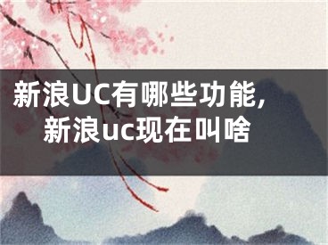 新浪UC有哪些功能,新浪uc現(xiàn)在叫啥