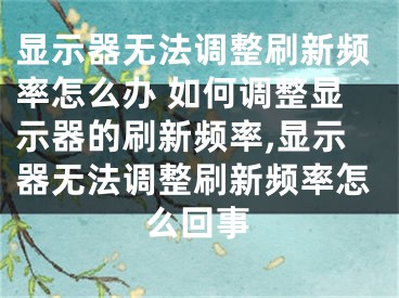 顯示器無法調(diào)整刷新頻率怎么辦 如何調(diào)整顯示器的刷新頻率,顯示器無法調(diào)整刷新頻率怎么回事