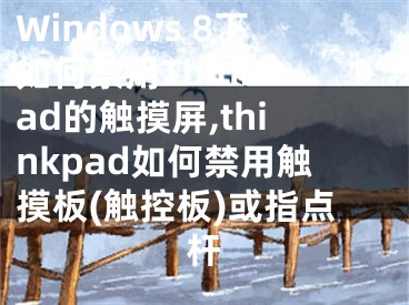 Windows 8下如何禁用ThinkPad的觸摸屏,thinkpad如何禁用觸摸板(觸控板)或指點桿