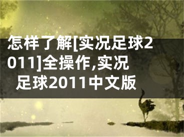 怎樣了解[實(shí)況足球2011]全操作,實(shí)況足球2011中文版