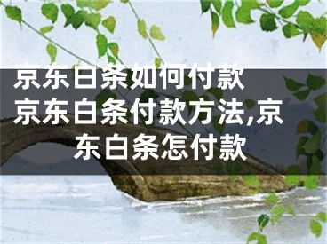 京東白條如何付款  京東白條付款方法,京東白條怎付款