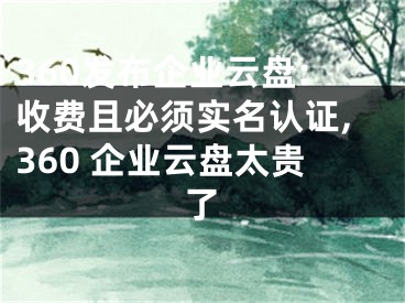 360發(fā)布企業(yè)云盤:收費(fèi)且必須實(shí)名認(rèn)證,360 企業(yè)云盤太貴了