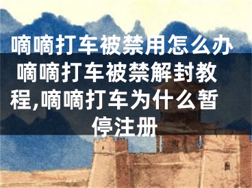 嘀嘀打車被禁用怎么辦 嘀嘀打車被禁解封教程,嘀嘀打車為什么暫停注冊(cè)