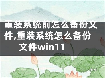 重裝系統(tǒng)前怎么備份文件,重裝系統(tǒng)怎么備份文件win11