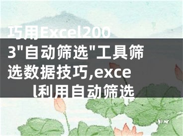 巧用Excel2003"自動篩選"工具篩選數(shù)據(jù)技巧,excel利用自動篩選