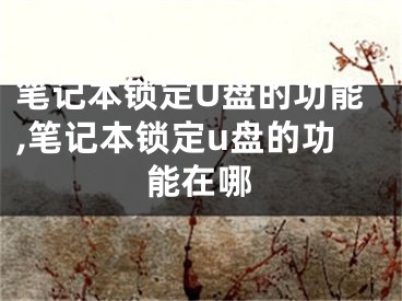 筆記本鎖定U盤的功能,筆記本鎖定u盤的功能在哪