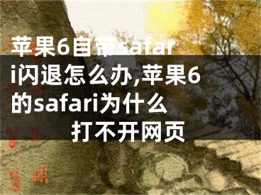 蘋果6自帶safari閃退怎么辦,蘋果6的safari為什么打不開(kāi)網(wǎng)頁(yè)