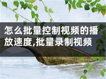 怎么批量控制視頻的播放速度,批量錄制視頻