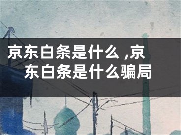 京東白條是什么 ,京東白條是什么騙局