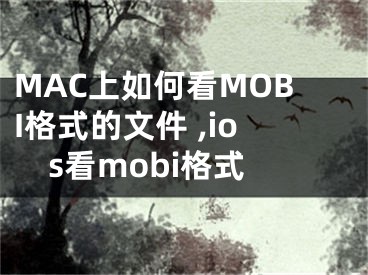 MAC上如何看MOBI格式的文件 ,ios看mobi格式