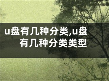 u盤有幾種分類,u盤有幾種分類類型