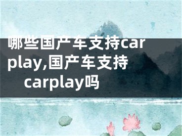 哪些國產(chǎn)車支持carplay,國產(chǎn)車支持carplay嗎