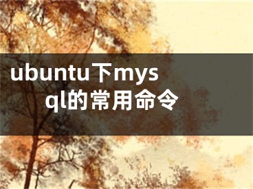 ubuntu下mysql的常用命令