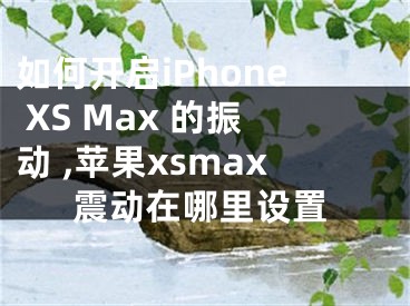 如何開啟iPhone XS Max 的振動(dòng) ,蘋果xsmax震動(dòng)在哪里設(shè)置