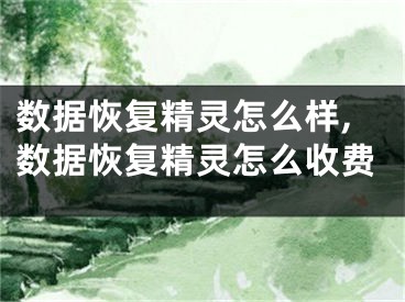 數(shù)據(jù)恢復(fù)精靈怎么樣,數(shù)據(jù)恢復(fù)精靈怎么收費