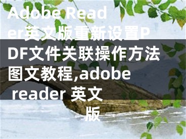 Adobe Reader英文版重新設(shè)置PDF文件關(guān)聯(lián)操作方法圖文教程,adobe reader 英文版