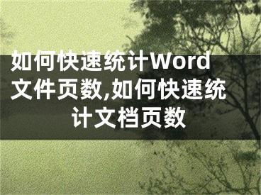 如何快速統(tǒng)計(jì)Word文件頁數(shù),如何快速統(tǒng)計(jì)文檔頁數(shù)