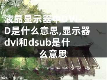 液晶顯示器中DVI-D是什么意思,顯示器dvi和dsub是什么意思