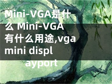 Mini-VGA是什么 Mini-VGA有什么用途,vga mini displayport