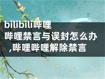 bilibili嗶哩嗶哩禁言與誤封怎么辦,嗶哩嗶哩解除禁言