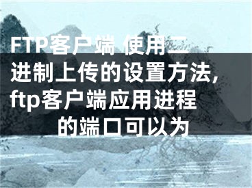 FTP客戶(hù)端 使用二進(jìn)制上傳的設(shè)置方法,ftp客戶(hù)端應(yīng)用進(jìn)程的端口可以為