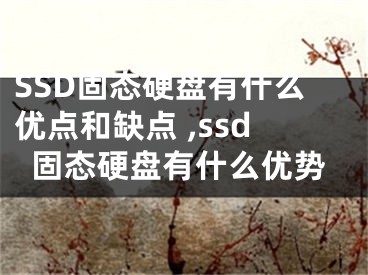 SSD固態(tài)硬盤有什么優(yōu)點和缺點 ,ssd固態(tài)硬盤有什么優(yōu)勢