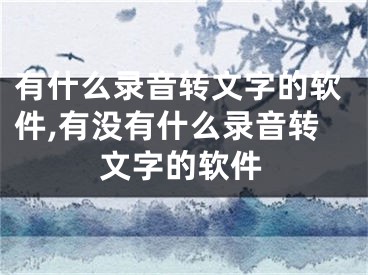 有什么錄音轉(zhuǎn)文字的軟件,有沒有什么錄音轉(zhuǎn)文字的軟件