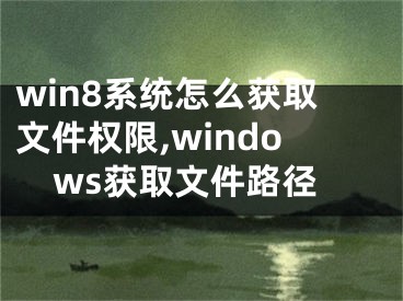 win8系統(tǒng)怎么獲取文件權(quán)限,windows獲取文件路徑