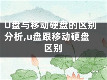 U盤與移動硬盤的區(qū)別分析,u盤跟移動硬盤區(qū)別