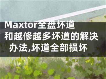 Maxtor全盤壞道和越修越多壞道的解決辦法,壞道全部損壞